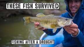 These Fish Survived - Fishing After A Drought