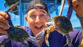 Crab Season is Open! What a Day! Catch n Cook