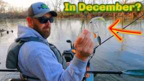 I Never Used to Fish Like This