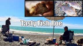 Fun Day Catching Snapper at 300m  - Catch & Cook Fish Roe in The Skin!