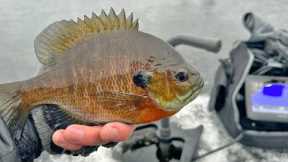 First Ice Bluegills On SECRET Hidden Lake!!