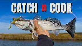 A Buncha Speckled Trout and a Sea Monster!