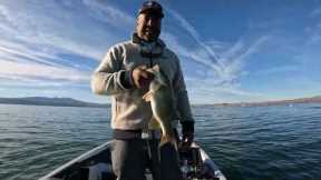 Fishing with a $200,000 Lure. The bait that catches all the bass in the Lake. When chasing bait.