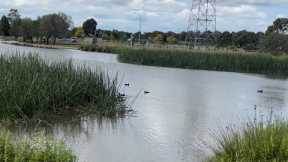 Fishing in Roxburgh park Lake mcivor