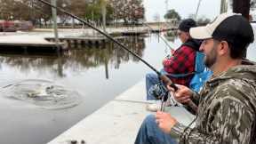 Catching GIANTS from a ROADSIDE Bayou (CATCH AND COOK)