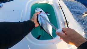 I turn a fish into DIP! {Catch and Cook}