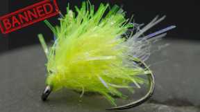 Traditionalists Want This Fly BANNED!