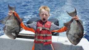 Catch Clean & Cook Trigger Fish, Tuna, Mahi mahi, Shark, Snapper and more.