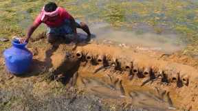 MURREL FISH CATCH AND COOKING A very delicious Dinner in Nature in Village