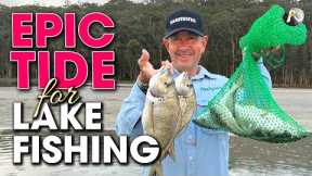 This DELICATE bait is DEADLY effective on Bream, Whiting & More!