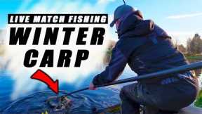 The BIGGEST TEST yet! Live Match Fishing at Hayfield Lakes