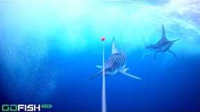 MARLIN TROLLING (INSANE UNDERWATER FOOTAGE!!)