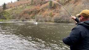 Crazy Day in Washington - Spey Fishing for Summer Steelhead