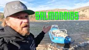 SALMONOIDS!
