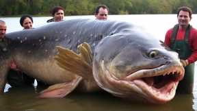 20 Biggest Catches Of All Time
