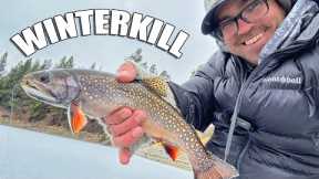 Winterkill