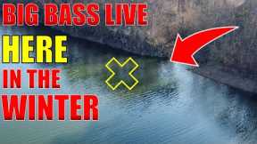 3 Proven FISHING Techniques That Catch BIG WINTER Bass