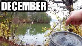 Shore Fishing in December With Minnows - Are There ANY Fish Left?