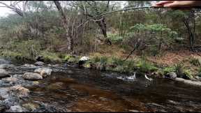Fly Fishing a Rugged Australian River for Wild Brown Trout