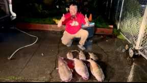 CATFISHING IN THE RAIN 🌧️ UPDATE AT LAKE BERRYESSA 12/27/23
