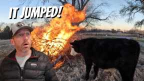 We DID NOT Mean To Catch This On Fire