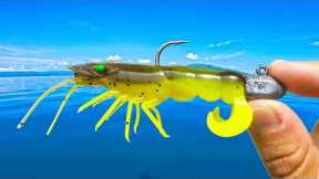 Tropical Waters Fishing for BIG Fish!
