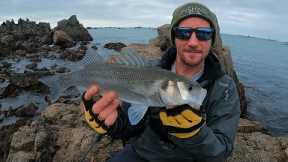 LURE FISHING FOR BASS | BACK ON THE ROCKS