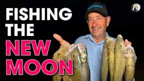 Beach Fishing the NEW MOON - Prospecting for Fish!