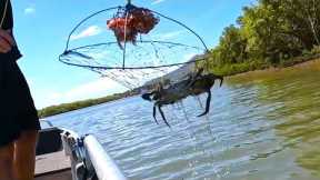 MUD CRAB CATCH | Cook Mud Crab Pizza | SEAFOOD