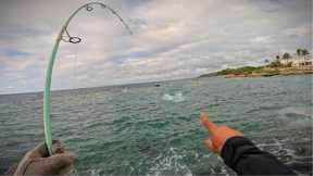 IT'S CALLED FISHING