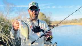 $20 of  Walmart Ultralight Fishing lures