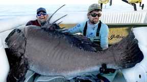 We Caught a SEA MONSTER!!
