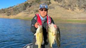 Lake Berryessa Bass Fishing before Christmas
