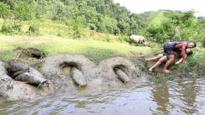 Top 1 Skills Survival: Catch Many Fish in Wild - Cooking Fish With Primtive life