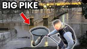 FISHING AFTER THE FLOODS! We Didn’t Expect It To Be This GOOD! (Fly Fishing For Pike)