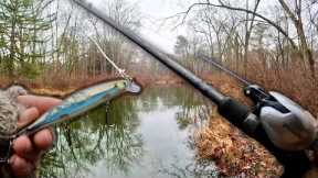 Winter MUSKY Fishing with TINY Lures!!