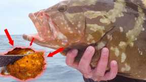 Turning a Live Fish into a cake {catch clean cook}
