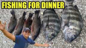 The Bite Was Insane (Catch N' Cook Mangrove Snapper)