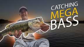 Kayak Bass Fishing Adventure: EPIC Catches on a Hidden Gem Lake!