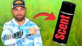 FISH ATTRACTANTS...What You Should Know