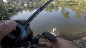 First time fishing Little Lake.