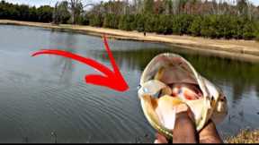 FISHING for BIG BASS with ONE SWIM BAIT (how MANY FISH can I CATCH)