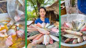 Country man cook yummy Fish Curry recipe with his cooking style | Chef Neab