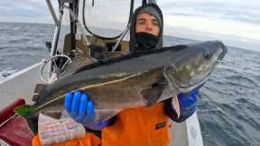 You've Been Eating this Fish Without Knowing It (Catch Clean Cook)