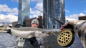 DOWN TOWN CITY Steelhead Fishing!