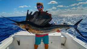 Why NOBODY Eats this FISH- Catch Clean Cook -Sailfish (Kola Fish)