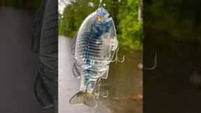I Caught A MONSTER Bass On A $110 Glidebait!