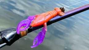 Soft Plastics | One Day Build to Catch