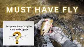 This is the Must Have Nymph【2024 NZ Fly Fishing for Beginners】