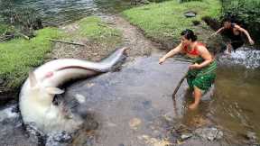 Survival skills: Find Catch Big Fish Stuck - Primitive Life And Cooking Fish